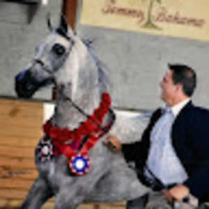 Meet your Posher, Peter